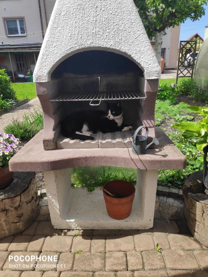 Pokoje Goscinne Moli Łeba Dış mekan fotoğraf